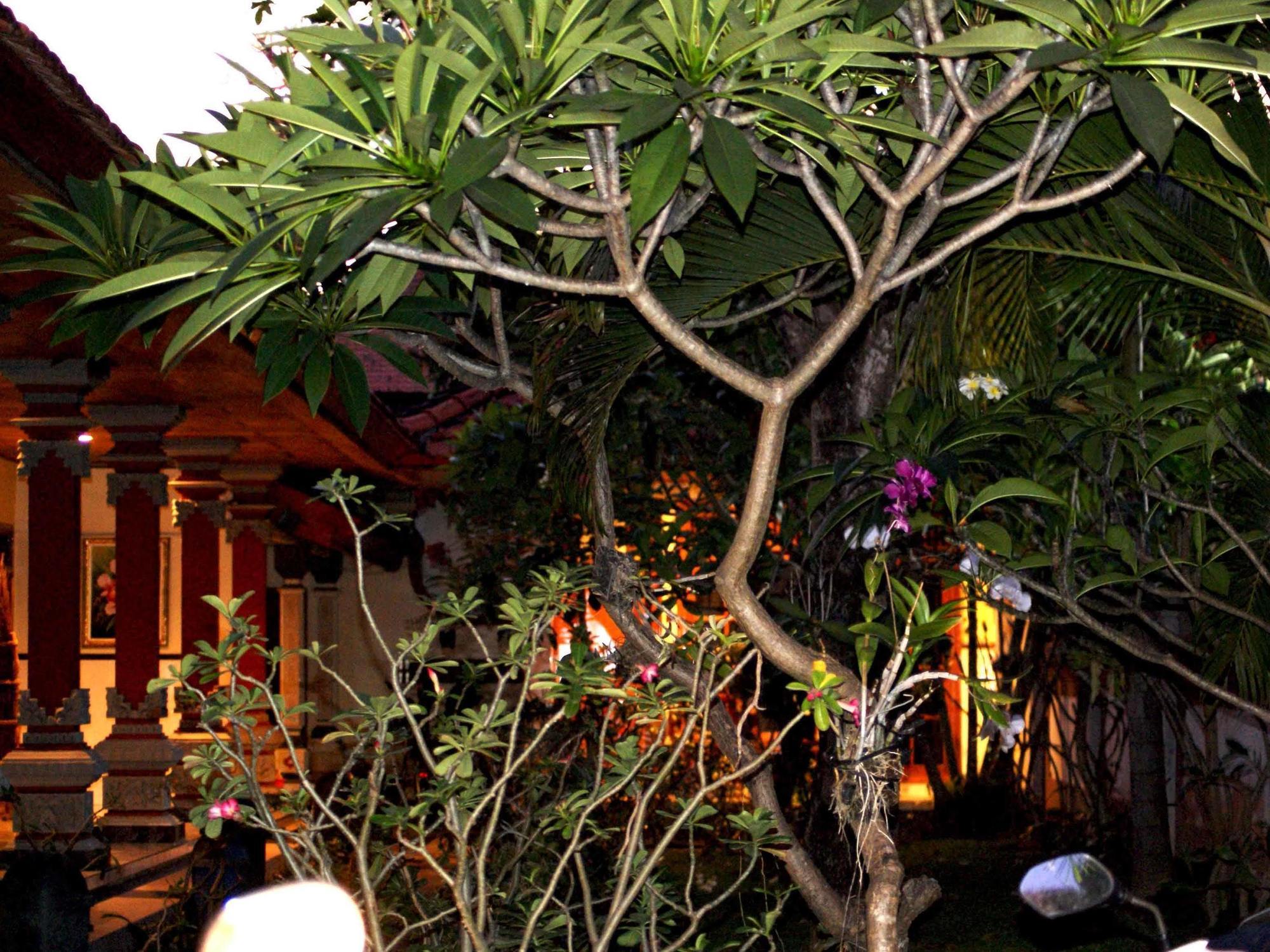 Pondok Hasan Nusa Dua  Exterior foto